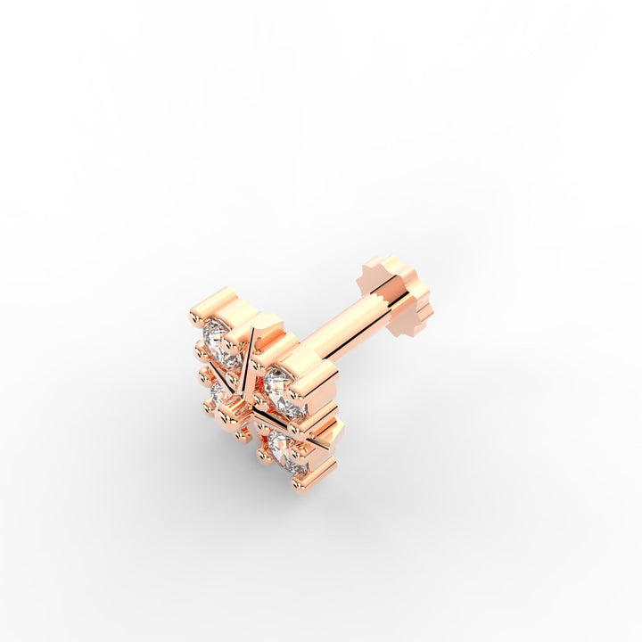 ANP0024-WDB000R