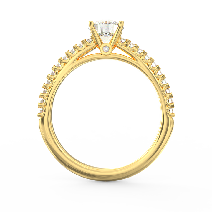 Soul's Reflection Round Cut Solitaire Engagement Ring with Diamond Shank